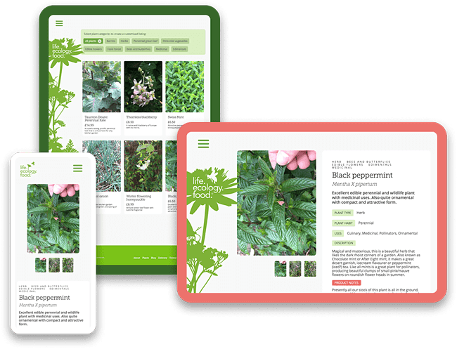 Giving the digital ecology some Life.